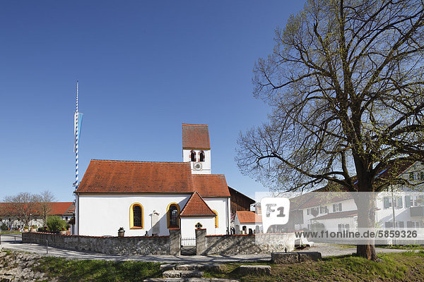Kirche Sankt Sebastian in Aschering  Gemeinde Pöcking  Fünfseenland  Oberbayern  Bayern  Deutschland  Europa  ÖffentlicherGrund