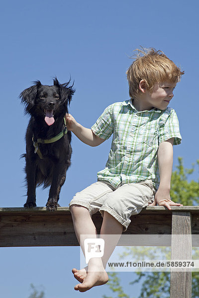 Junge mit Hund sitzt auf einem Zaun