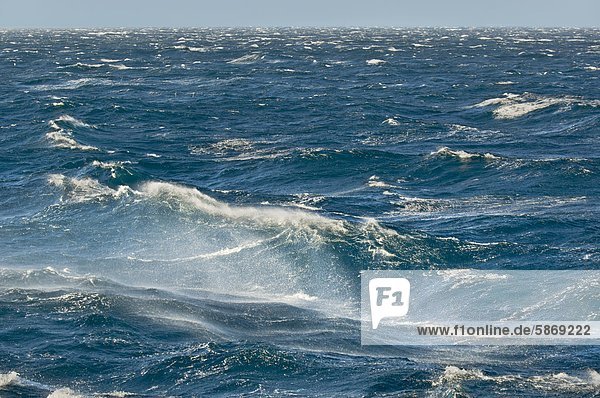Stürmische See vor South Georgia Island Südlicher Ozean