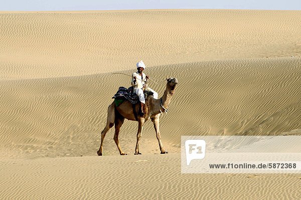 An Indian man  wearing a traditional dhoti and a turban  riding his dromedary camel  Arabian camel (Camelus dromedarius) in the desert  Thar Desert  Rajasthan  India  Asia