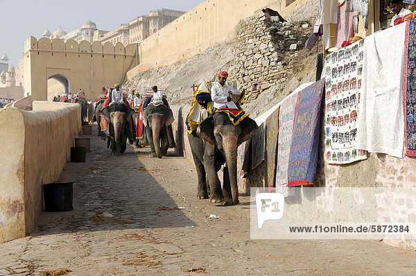 Elephants at Amber Fort  Amer Fort  animals for riding  Amer  near Jaipur  Rajasthan  northern India  India  South Asia  Asia