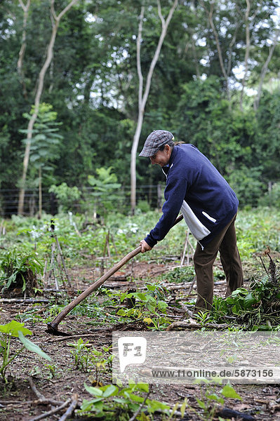 Paraguayische Bäuerin bearbeitet ihren Garten für Medizinalpflanzen  Comunidad Mandu'ara  Distrikt Jasy Kany  Departamento Canindeyu  Paraguay  Südamerika