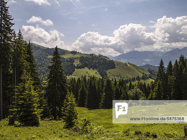 Wanderweg in den Bergen bei Rettenschlöss  Tirol  Österreich  Europa