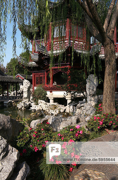 Pagode im Yu-Garten in Shanghai  China