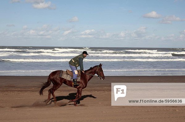 Horse rider on a beach near Azemmour  Morocco  North Africa  Africa