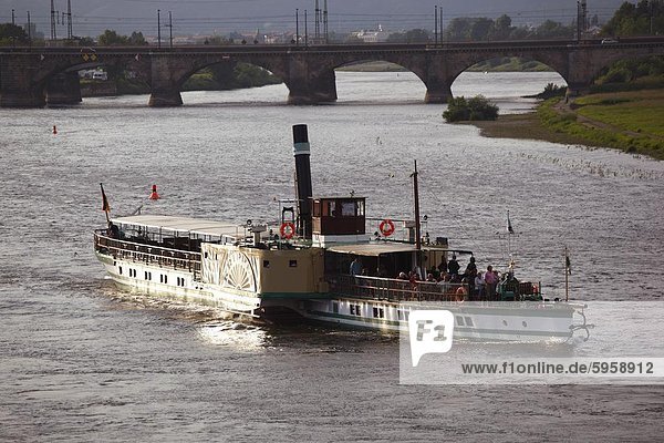 Paddlesteamer cruise ship on River Elbe  Dresden  Saxony  Germany  Europe