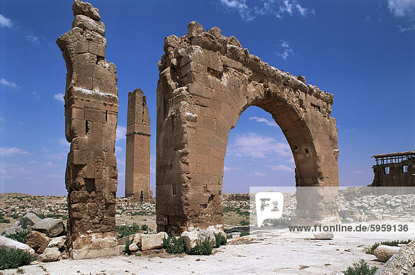 Turm und Bogen auf der Website der Tempel der Sünde (Gott des Mondes)  Harran  Anatolien  Türkei  Kleinasien  Eurasien