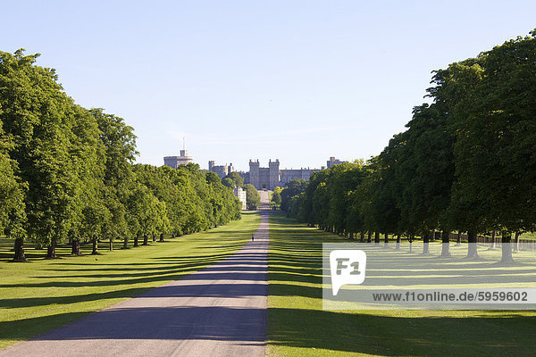 Die langen Spaziergang und Schloss Windsor  Windsor  Berkshire  England  Vereinigtes Königreich  Europa