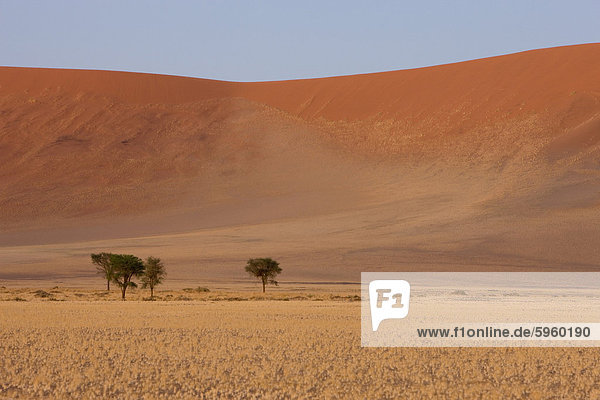 Sanddünen  Sossusvlei  Namib-Wüste  Namib Naukluft Park  Namibia  Afrika