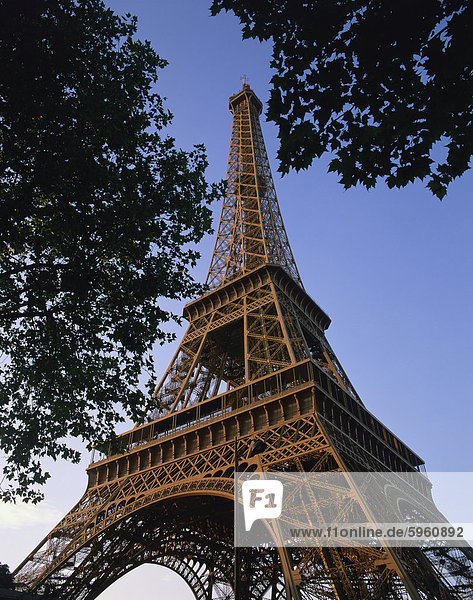 Der Eiffelturm bei Dämmerung  Paris  Frankreich  Europa