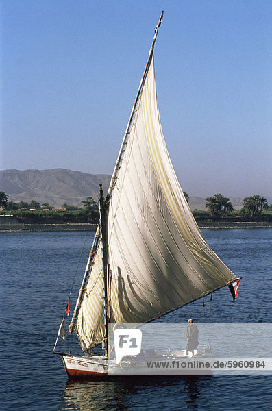 Feluke auf dem Fluss Nil  Ägypten  Nordafrika  Afrika