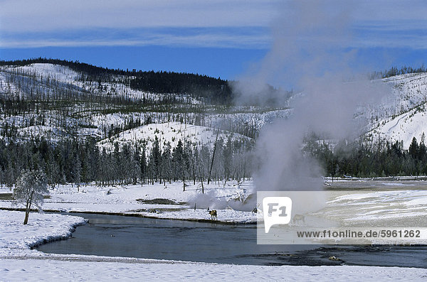 Geysire im Yellowstone-Nationalpark  UNESCO World Heritage Site  Montana  Vereinigte Staaten von Amerika  Nordamerika