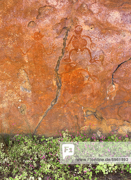 Aborigines bemalte Figuren mit Blumen unter Felsen nach Regen  in der Nähe von King Edward River  Kulumburu Road  Kimberley West Australien  Australien  Pazifik