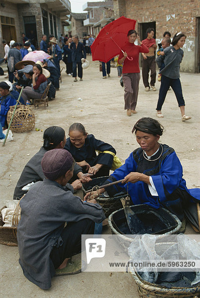 Indigo für Verkauf auf dem Markt in der Nähe von Sandu  Guizhou  China  Asien