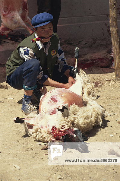 Muslim töten Schafe  Qinghai  China  Asien