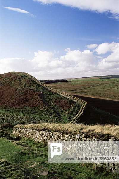 Römische Mauer  Steelrigg  Hadrianswall  UNESCO World Heritage Site  Northumbria  England  Vereinigtes Königreich  Europa