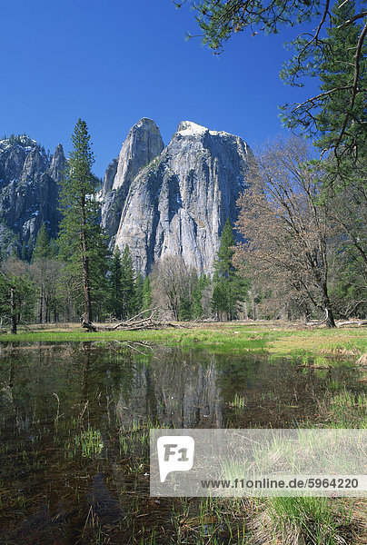 See die Bäume und die Cathedral Rocks in Yosemite National Park  UNESCO World Heritage Site  California  Vereinigte Staaten von Amerika  Nordamerika