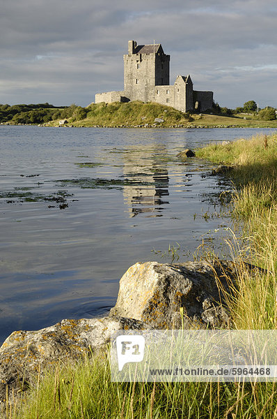 Dunguaire (Dungory) Castle  Kinvarra  County Galway  Connacht  Republic of Ireland  Europe