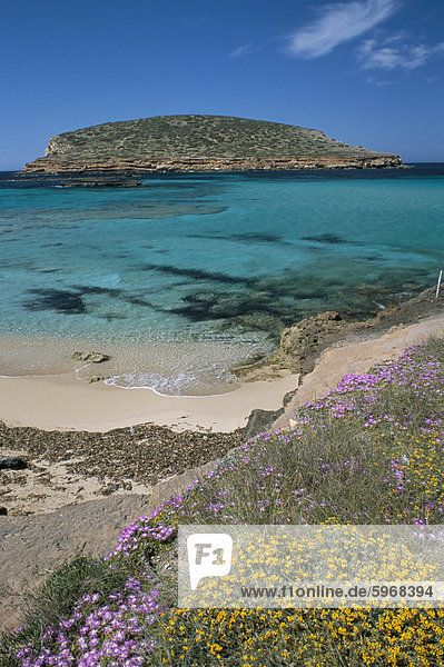 Europa Felsen Insel Balearen Balearische Inseln Ibiza Spanien