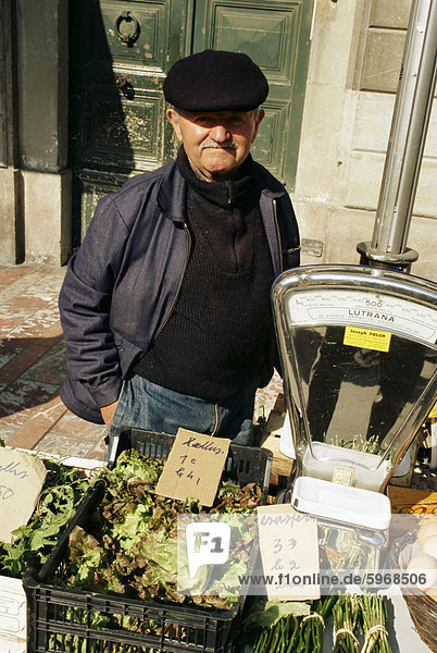 Man kaufe Salat Gemüse  Ville Basse  Samstag Markt  Carcassonne  Languedoc  Frankreich  Europa