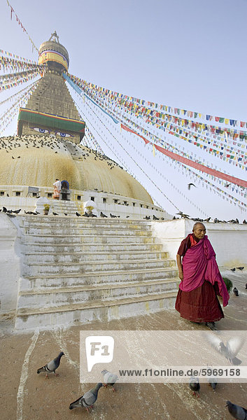 Buddhistischer Mönch steigt die Schritte des Boudha (Bodhnath) (Boudhanath)  der tibetische Stupa in Kathmandu  Nepal  Asien