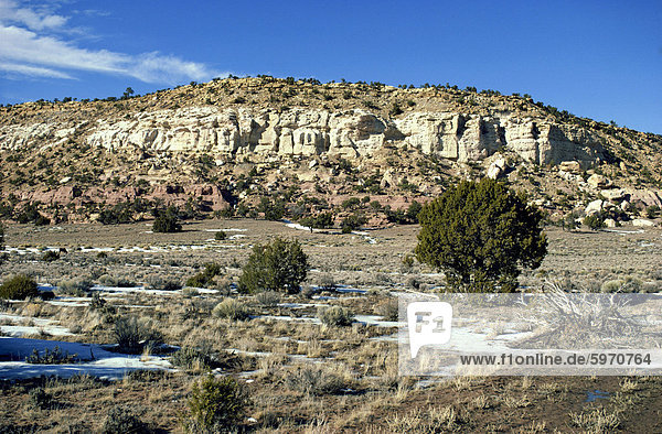 Kalksteinfelsen  New Mexico  Vereinigte Staaten von Amerika  Nordamerika