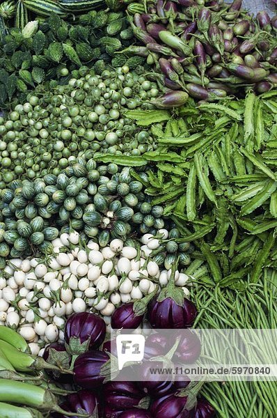 Nahaufnahme von Gemüse aus der Familie der Aubergine zum Verkauf in Thailand  Südostasien  Asien