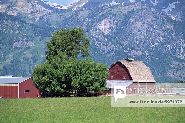 Wirtschaftsgebäude mit Berghänge hinter  Jackson Hole  Wyoming  Vereinigte Staaten von Amerika  Nordamerika