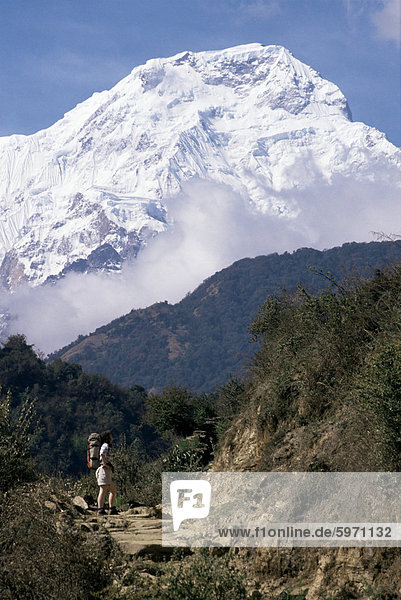 Trekking Weg zum Anapurna  Himalaya  Nepal  Asien