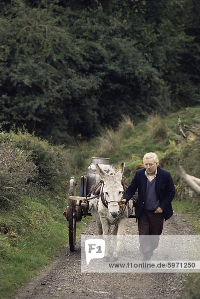 Donkey cart  County Leitrim  Connacht  Republic of Ireland (Eire)  Europe