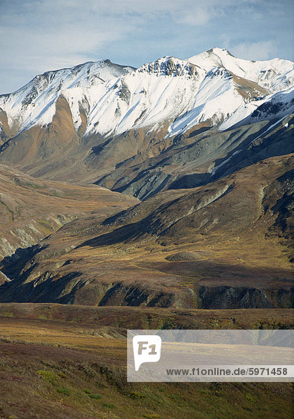 Tundra-Landschaft mit Schneegrenze im Hintergrund auf der Alaska Range Mountains  in den Denali Nationalpark  Alaska  Vereinigte Staaten von Amerika  Nord Amerika