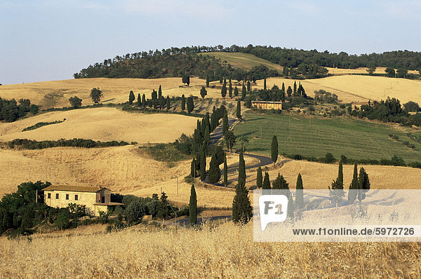 Landschaft mit kurvenreichen Straße gesäumt von Zypressen  Monticchiello  in der Nähe von Pienza  Toskana  Italien  Europa