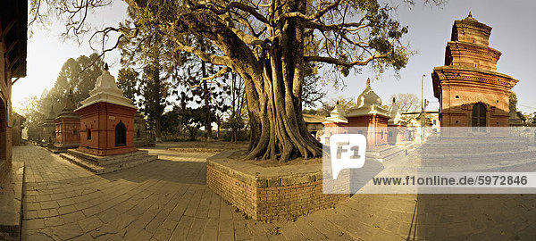 Panorama produziert durch den Beitritt mehrerer Bilder  der Chaityas in der Morgendämmerung an einem der heiligsten Hindu Standorte  Pashupatinath  Kathmandu  Nepal  Asien