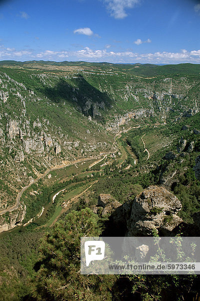 Blick vom Roc des Hourtous des Gorges du Tarn  Lozere  Languedoc-Roussillon  Frankreich  Europa