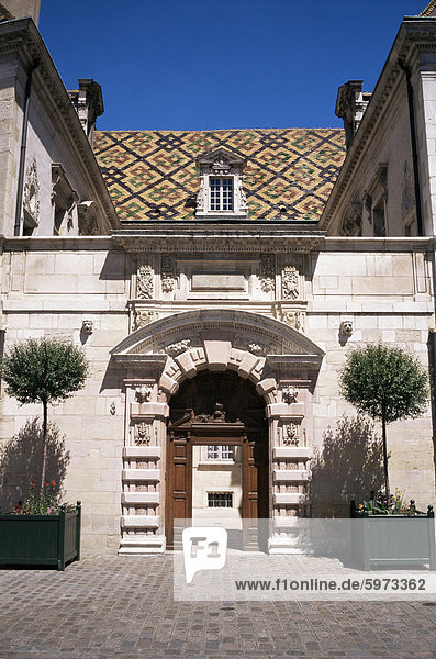 Hotel de Vogue  mit traditionellen Dach Fliesen  Dijon  Burgund  Frankreich  Europa