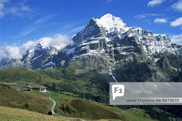 Wetterhorn  in der Nähe von Grindelwald  Berner Oberland  Schweizer Alpen  Schweiz  Europa