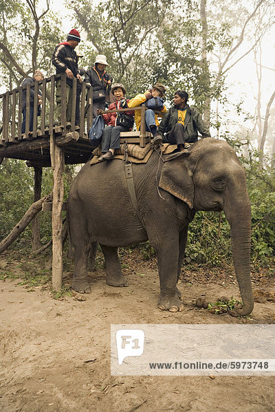 Japanese tourists board the elephant that will take them on safari  at the Island Jungle Resort hotel  Royal Chitwan National Park  Terai  Nepal  Asia