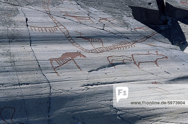 Felszeichnungen zwischen 2000 und 6000 Jahren auf Eis Rillen  Hjemmeluft UNESCO-Weltkulturerbe  Alta  Finnmark  Norwegen  Skandinavien  Europa