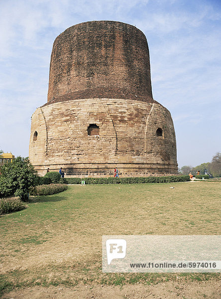 Die Dhamek-Stupa aus dem 5. und 6. Jahrhundert AD  Sarnath  in der Nähe von Varanasi  Uttar Pradesh Zustand  Indien  Asien
