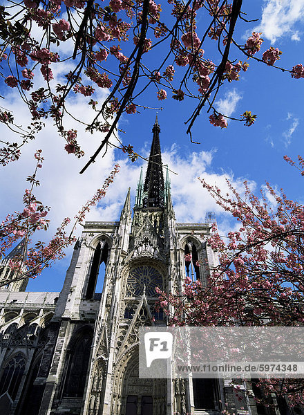 Kathedrale Notre-Dame  Rouen  Seine-Maritime  Haute-Normandie (Normandie)  Frankreich  Europa