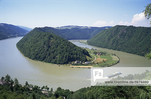 Schlendern Sie in die Donau bei Schlogen  Österreich  Europa