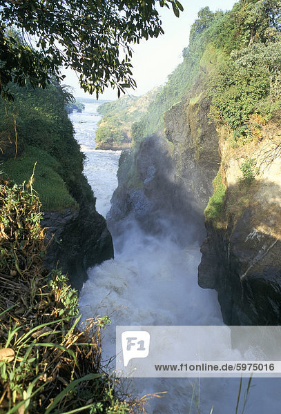Murchison Falls  Murchison Falls National Park  Uganda  Ostafrika  Afrika