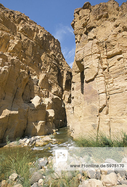 Wadi Mujib Schlucht  Wadi Mujib  Jordanien  Mittlerer Osten