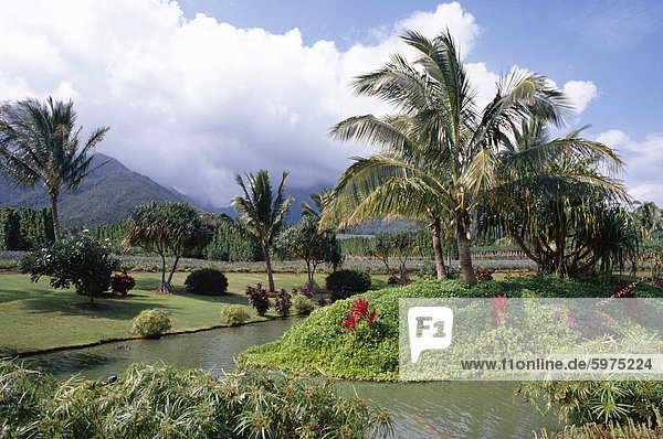 Tropischen Plantage Garten  Maui  Hawaii  Hawaii  Vereinigte Staaten von Amerika (U.S.A.)  Nordamerika