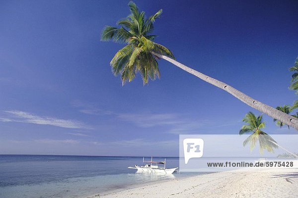 Alona Beach  Panglao Island  vor der Küste von Bohol  Philippinen  Südostasien  Asien