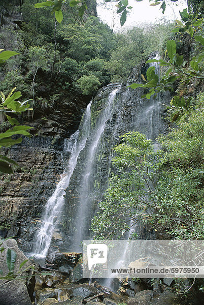 Beauchamp Falls  Blue Mountains-Nationalpark  UNESCO Weltkulturerbe  in der Nähe von Blackheath  New South Wales (NSW)  Australien  Pazifik