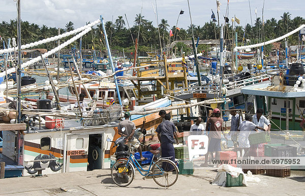 Angeln  Hafen  gebaut mit US-Hilfe nach 2004 Tsunami in Asien  Purunawella  östlich von Galle  Südküste von Sri Lanka  Asien