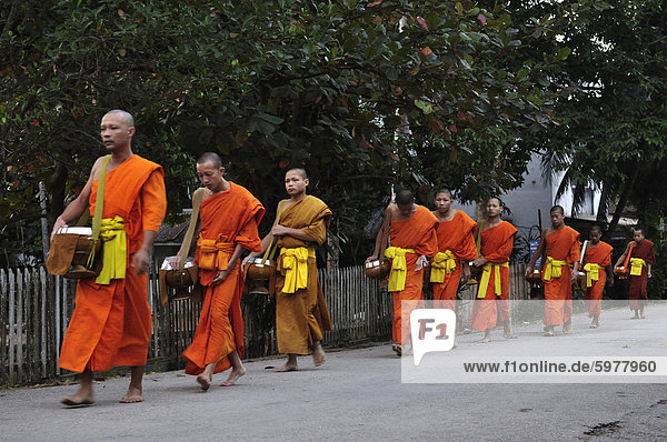 Buddhistische Mönche sammeln Morgen Alms  Luang Prabang  Laos  Indochina  Südostasien  Asien