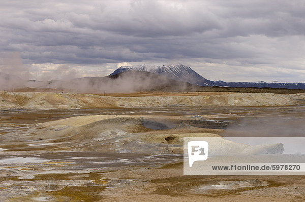 Hverir geothermischen Feldern am Fuße des Berges Namafjall  Myvatn See Gebiet  Island  Polarregionen