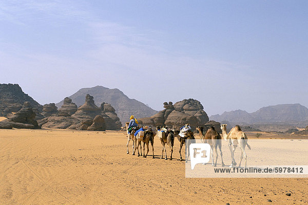Camel caravan  Akakus  Sahara desert  Fezzan  Libya  North Africa  Africa